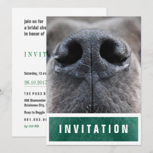 Invitation Grand Danois Nez en l'air