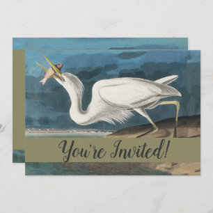 Invitation Grande Peinture de la faune d'Audubon Heron blanc
