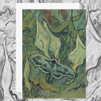 Green Peacock (Empereur) Moth de Vincent van Gogh