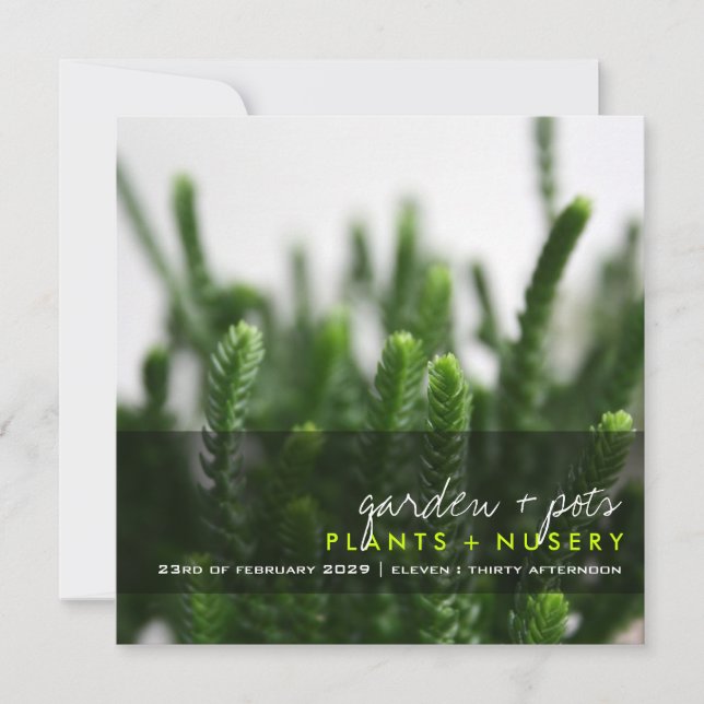 Invitation Green Succulents Grass Plante photo Parti moderne (Devant)