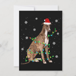 Invitation greyhound christmas light cute santa greyhound