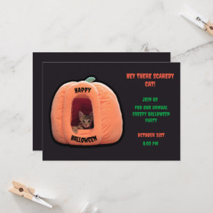 Invitation Gris foncé et orange Citrouille Kitten Halloween