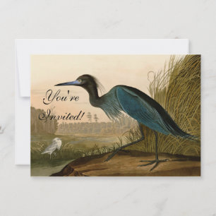 Invitation Grue Bleue Heron Audubon Peinture