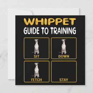 Invitation Guide Whippet Pour L'Entraînement De L'Obéissance
