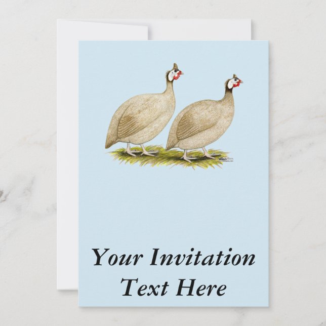 Invitation Guineas Buff Dundotte Fowl (Devant)