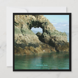 Invitation Gull Island, Alaska