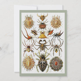 Invitation  Haeckel Golden Spiders planche 66