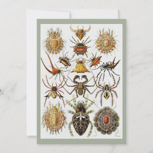 Invitation Haeckel Golden Spiders plaque 66