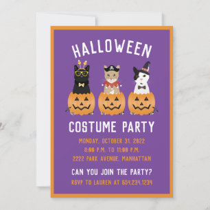 Invitation Happy Halloween Cats Jack-o'-lantern