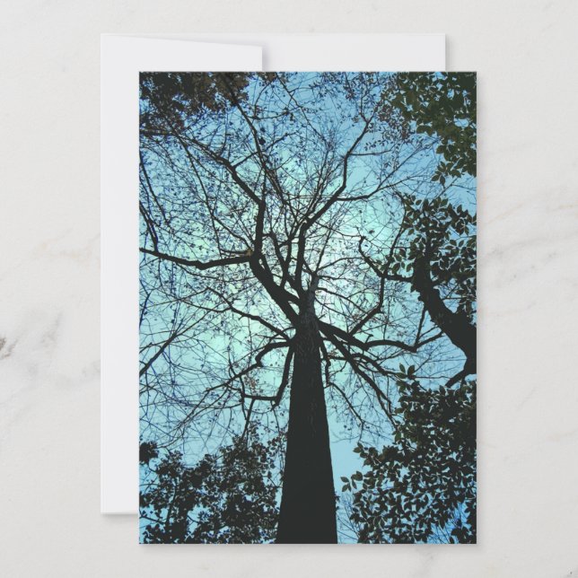 Invitation Haunted Woods Halloween (Devant)