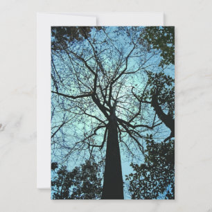 Invitation Haunted Woods Halloween