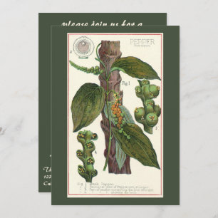 Invitation Herbes alimentaires vintages épices, poivre noir P