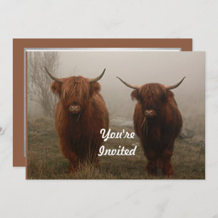 Invitation Highland Cattle Fog Photo Anniversaire