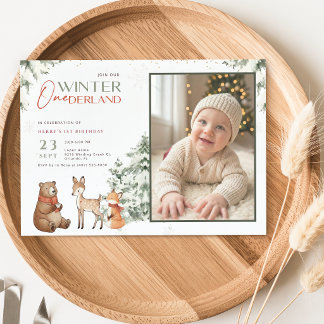 Invitation Hiver Pays-Bas Animal Enfant Photo 1er Anniversair