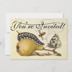 Invitation Hoefnagel Vintage Poire & Insectes 1500 Renaissanc