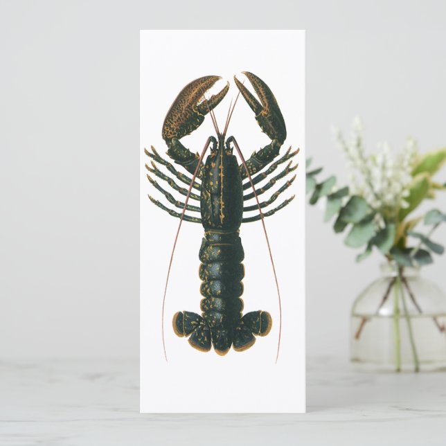 Invitation Homard vintage, Marine Ocean Life Crustacean (Debout devant)
