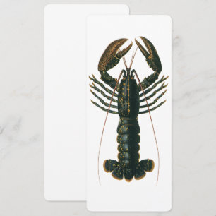 Invitation Homard vintage, Marine Ocean Life Crustacean