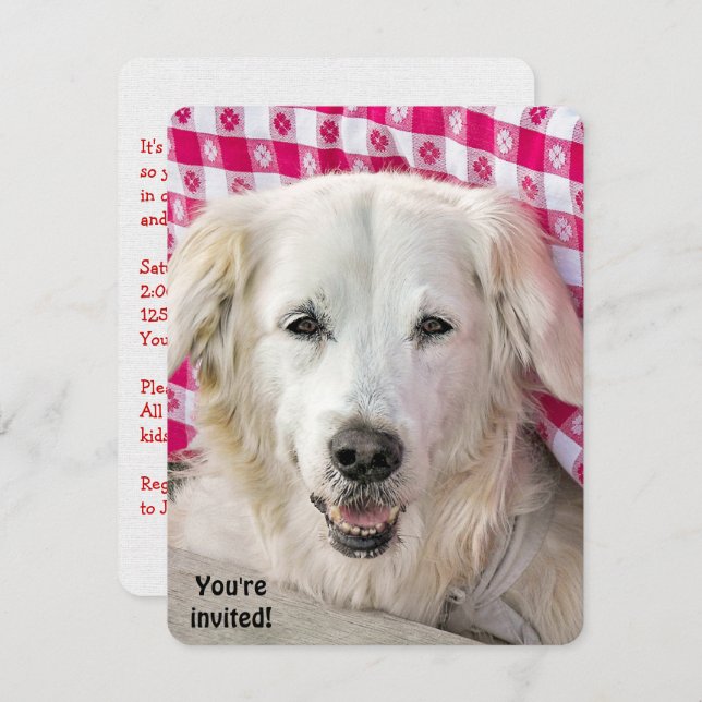 Invitation Hot Dog Fry (Devant / Derrière)