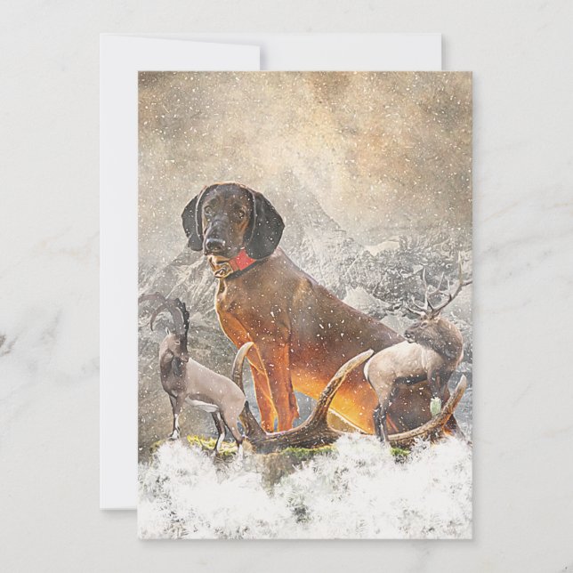 Invitation Hound de montagne bavarois, Art (Devant)