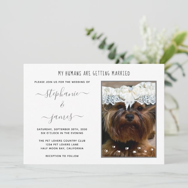 Invitation Humains Se Marier Amateurs De Animaux Mariages Pho (Debout devant)