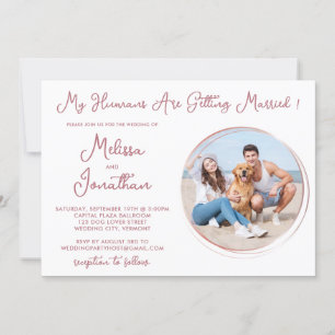 Invitation Humains Se Marier Animal Rose Photo Mariage Or