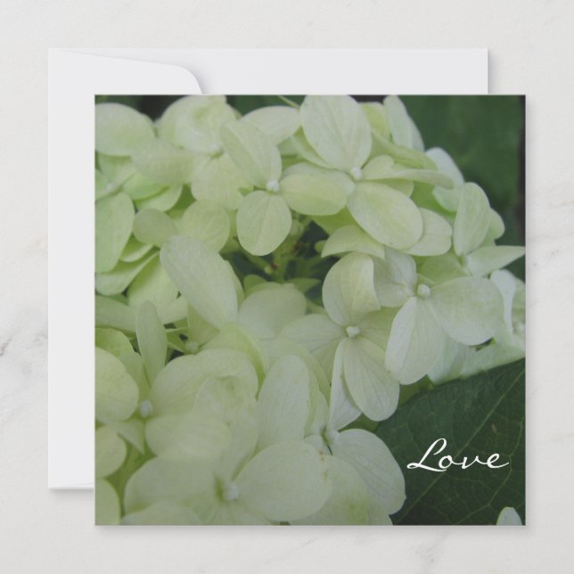 Invitation Hydrangea Love (Devant)