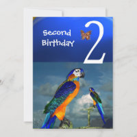 HYPER PARROTS / Deuxième fête d'anniversaire
