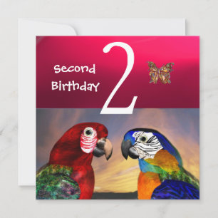 Invitation HYPER PARROTS / Deuxième fête d'anniversaire, Fuch