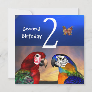 Invitation HYPER PARROTS / Première fête d'anniversaire