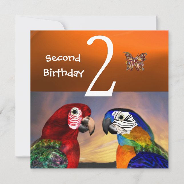 Invitation HYPER PARROTS / Première fête d'anniversaire, oran (Devant)