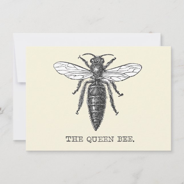 Invitation Illustration Antique d'Insecte de Bourdon Reine Ab (Devant)