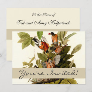 Invitation Illustration Audubon American Robin Wildlife Bird