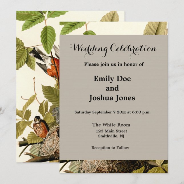 Invitation Illustration Audubon American Robin Wildlife Bird (Devant / Derrière)