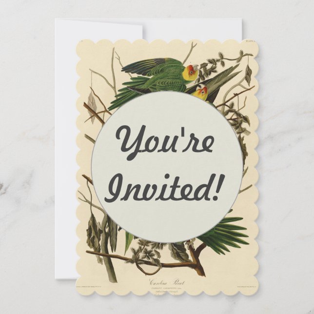 Invitation Illustration Audubon Carolina Parrot Bird (Devant)