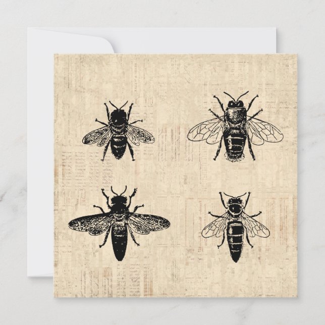 Invitation Illustration d'abeilles Art antique Conception Vin (Devant)