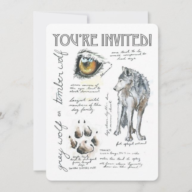 Invitation Illustration d'invitation Canis Lupus Loup (Devant)