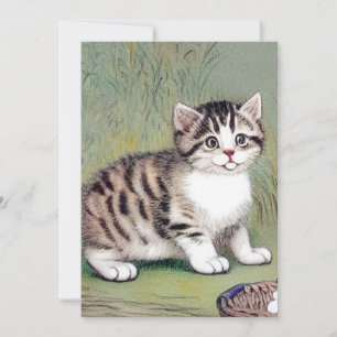 Invitation Illustration vintage de chaton rayé