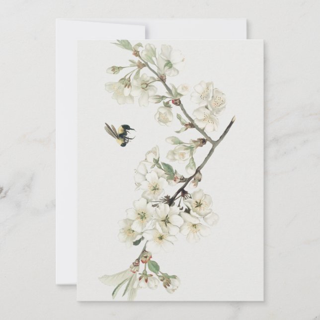 Invitation Illustration vintage de fleur de pommier (Devant)