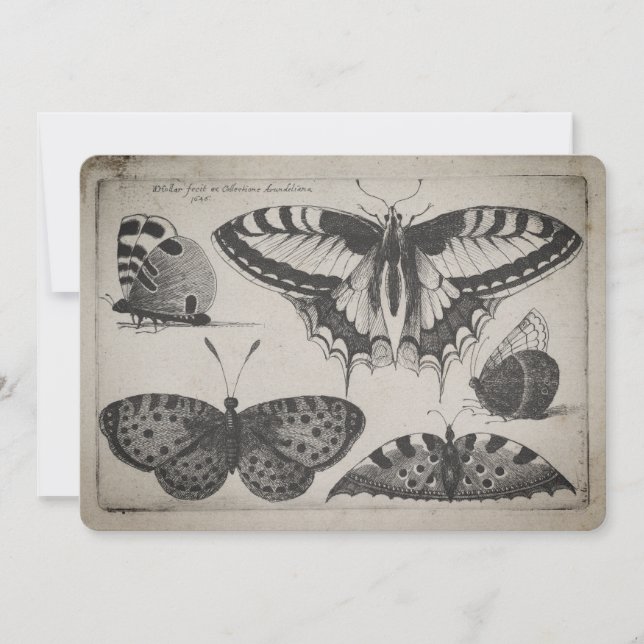 Invitation Illustration vintage de papillon de machaon (60) (Devant)