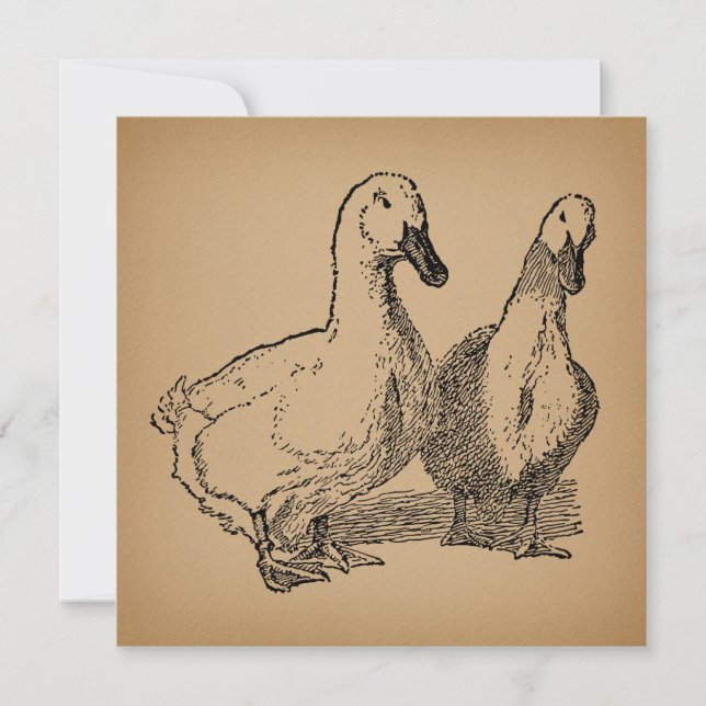 Invitation Illustration vintage Duck Art Two Ducks (Devant)