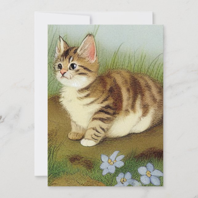 Invitation Illustration vintage Kitten avec fleurs (Devant)