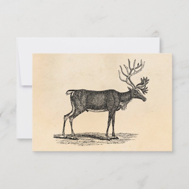 Invitation Illustration Vintage Reindeer - Noël des années 18 (Devant)