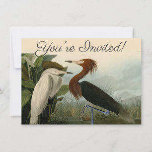 Invitation Impression de Héron Pourpré d'Audubon : Art d'Oise