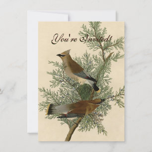 Invitation Impression d'oiseau de John James Audubon Jaseur b