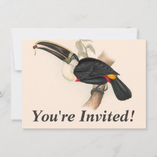 Invitation Impression du Toucan de Cuvier : Oiseau Tropical V