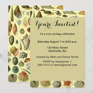 Invitation Impression vintage de coquillages d'Adolphe Millot