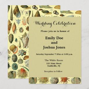 Invitation Impression vintage de coquillages d'Adolphe Millot