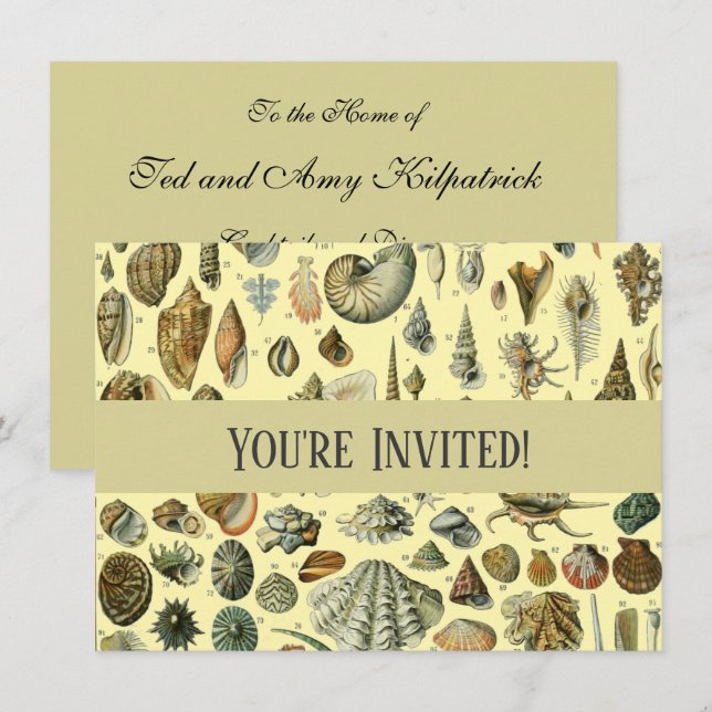 Invitation Impression vintage de coquillages d'Adolphe Millot (Devant / Derrière)