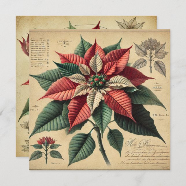 Invitation Imprimable Retro Poinsettia Botanique Scrapbook (Devant / Derrière)