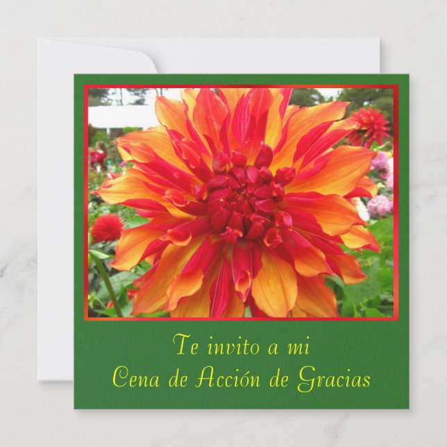 Invitation Invitación - Cena de Acción De Gracias (Devant)